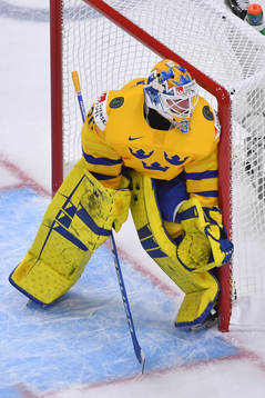 Hugo Alnefelt of Sweden guards the post