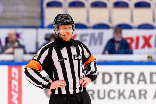 Domare Mikael Holm