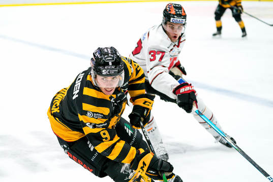 Skellefteås Darren Nowick och Örebros Glenn Gustafsson