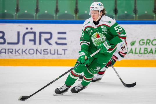 Rögles Moritz Seider
