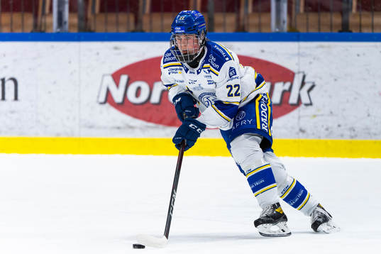 Leksands Arvid Eljas