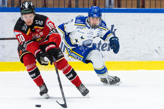 Leksands Arvid Eljas