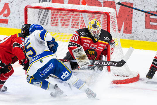 Luleås målvakt David Rautio