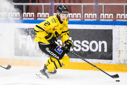 Västerås Sebastian Benker