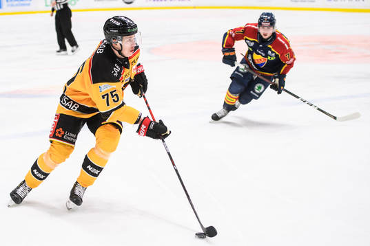 Luleås Arttu Ilomäki och Djurgårdens Robert Nardella