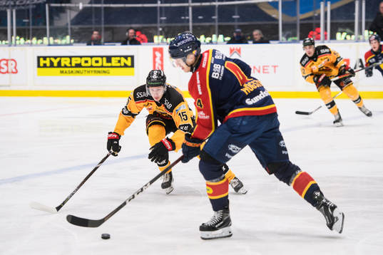 Luleås Carl Mattsson och Djurgårdens Marcus Högström