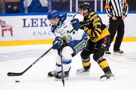 Leksands August Berg och Skellefteås Adam Wilsby