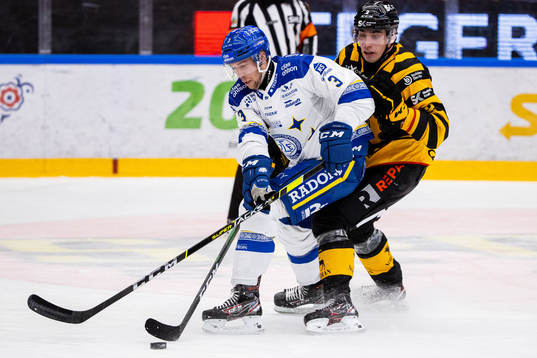 Leksands August Berg och Skellefteås Adam Wilsby