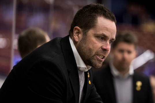 Skellefteås assisterande tränare Stefan Hedlund