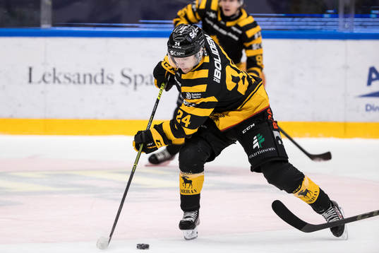 Skellefteås Andreas Wingerli