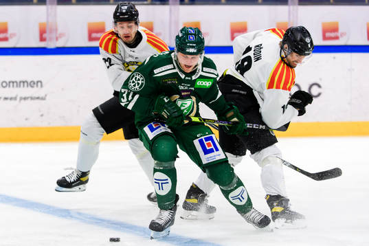 Brynäs Adam Pettersson, Färjestads Adam Ginning och