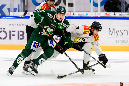 Färjestads Jacob Peterson och Brynäs Josef Ingman
