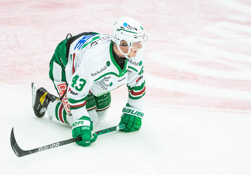Rögles Olli Palola