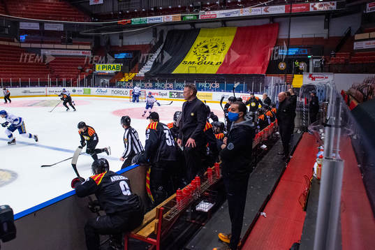Brynäs bänk följer spelet