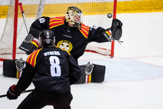 Brynäs målvakt Viktor Andrén