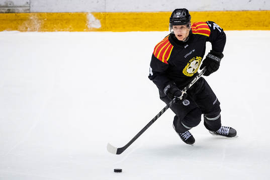 Brynäs Daniel Mannberg