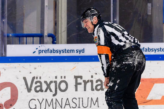 Domare Morgan Johansson grinar illa