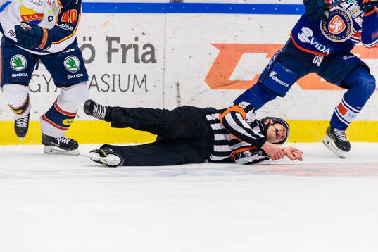 Domare Morgan Johansson grinar illa