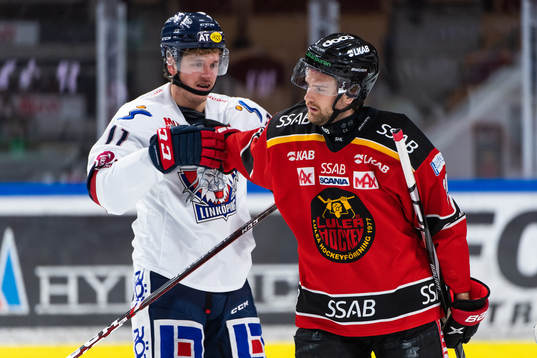 Linköpings Henrik Törnqvist och Luleås Pontus Själin