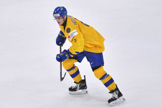 Ludvig Hedström of Sweden skates