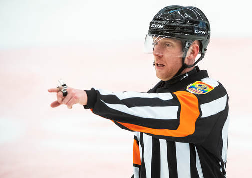 Domare Mikael Holm