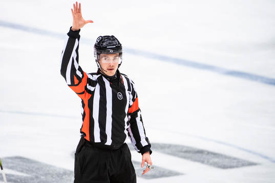 Domare Filip Eriksson