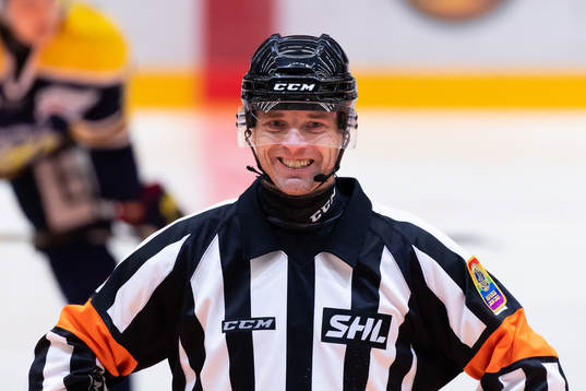Domare Mikael Andersson