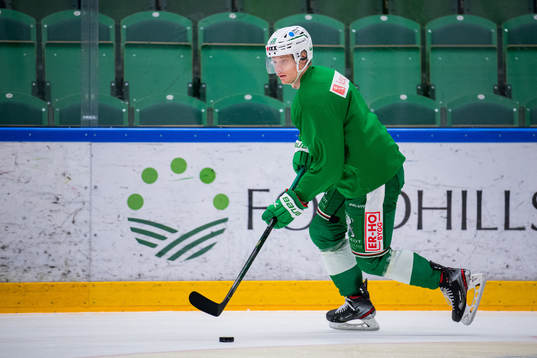 Anton Bengtsson