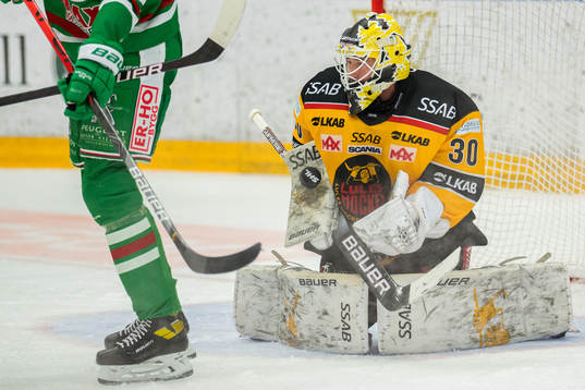 Luleås målvakt David Rautio
