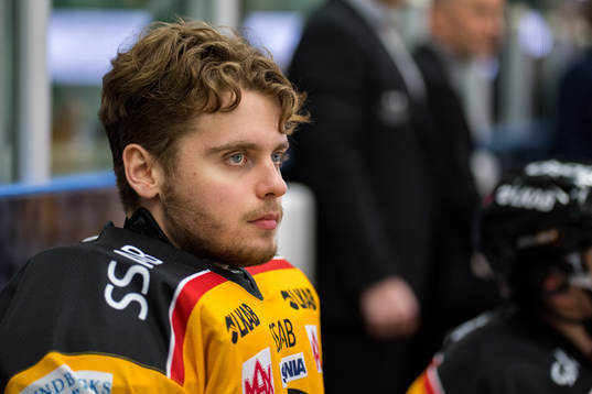 Luleås målvakt William Josbrant