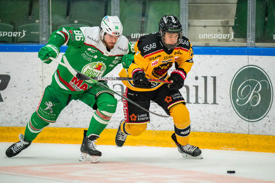 Rögles Eric Gelinas och Luleås Fabian Lysell