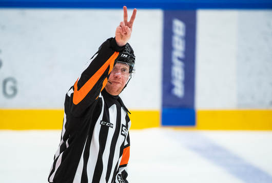 Domare Mikael Holm