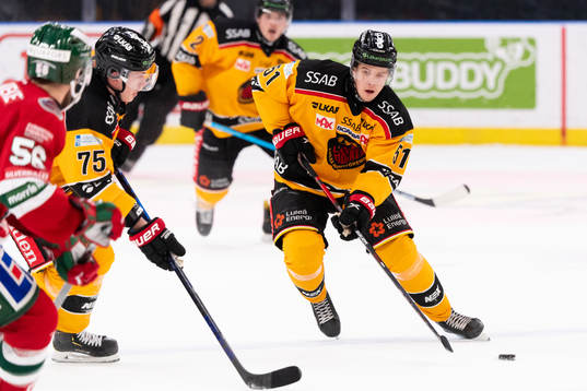Luleås Filip Hållander