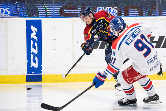 Djurgårdens Rhett Rakhshani