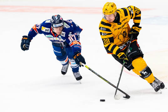Bläddra bland fler bilder av Ishockey, SHL, Växjö - Skellefteå