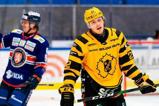 Skellefteås Jonathan Johnson deppar