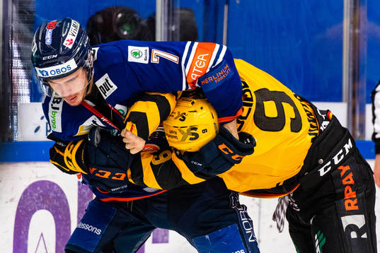 Växjös Hardy Häman Aktell och Skellefteås Darren Nowick