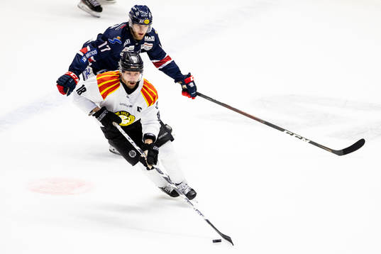 Brynäs Anton Rödin och Linköpings Niko Ojamäki
