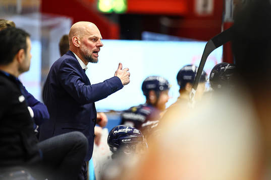 Linköpings assisterande tränare Niclas Hävelid