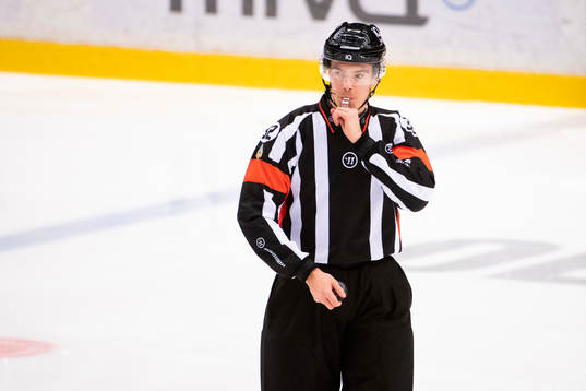 Domare Filip Eriksson
