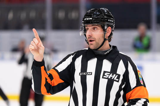 Domare Mikael Sjöqvist