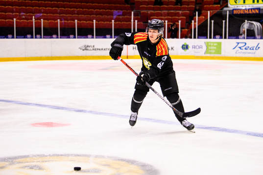 Brynäs Tom Hedberg
