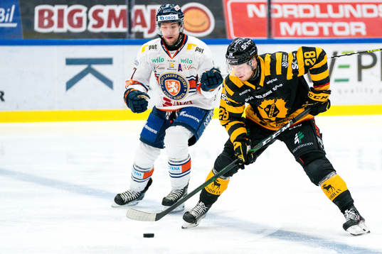 Skellefteås Oscar Möller och Växjös Robert Rosén