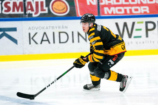 Skellefteås Adam Wilsby
