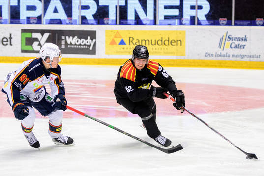 Djurgårdens Linus Andersson och Brynäs Tom Hedberg