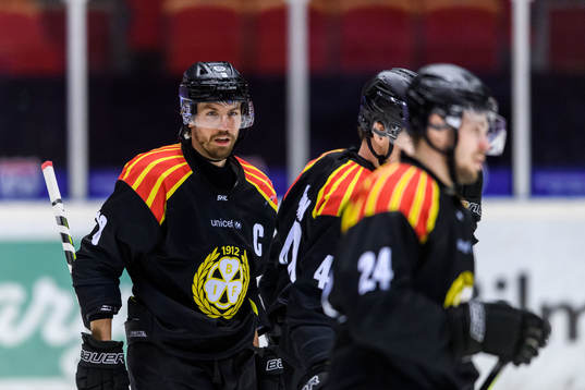 Brynäs Anton Rödin