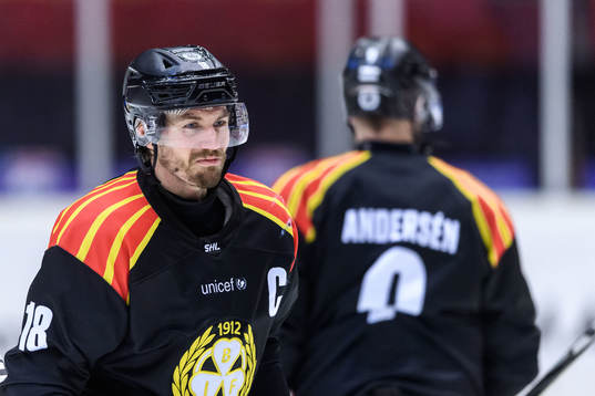 Brynäs Anton Rödin
