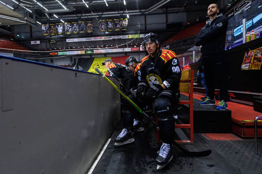 Brynäs Shane Harper