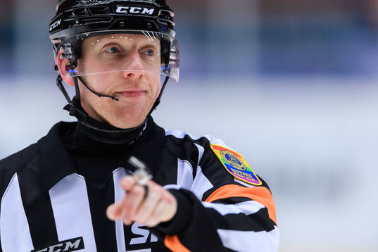 Domare Mikael Holm