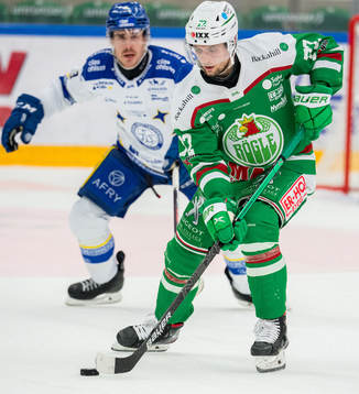 Rögles Daniel Zaar